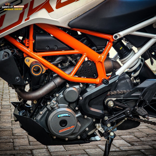 Duke 390 bssg