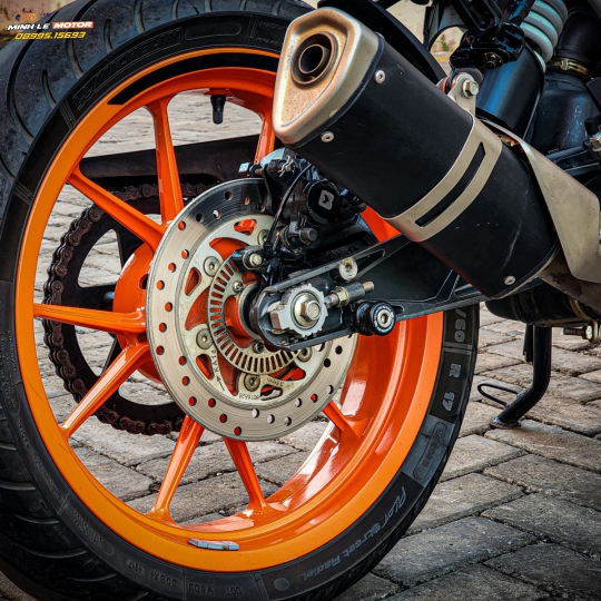 Duke 390 bssg