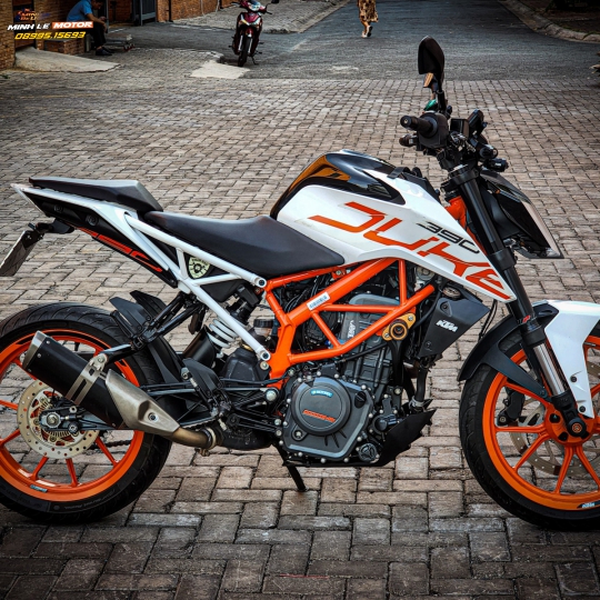 Duke 390 bssg