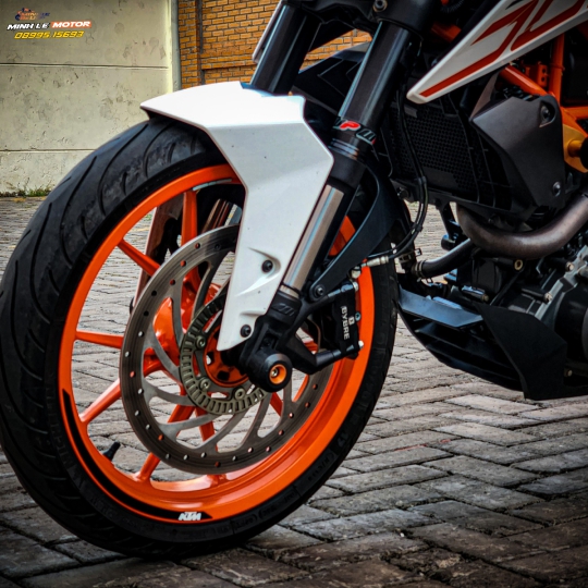 Duke 390 bssg