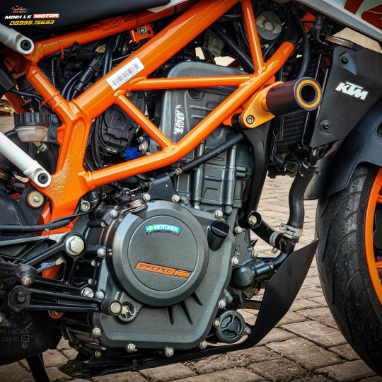 Duke 390 bssg