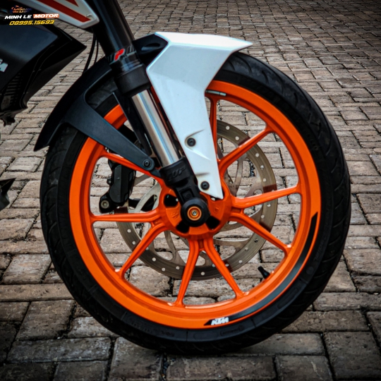 Duke 390 bssg