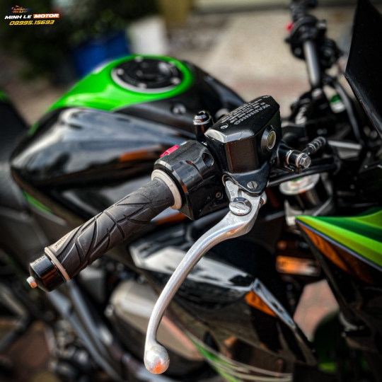Z800 abs 2015