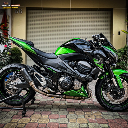 Z800 abs 2015