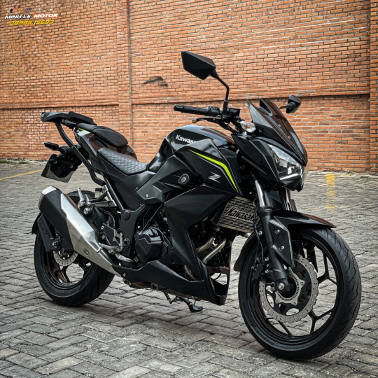 Z300 abs 2018 