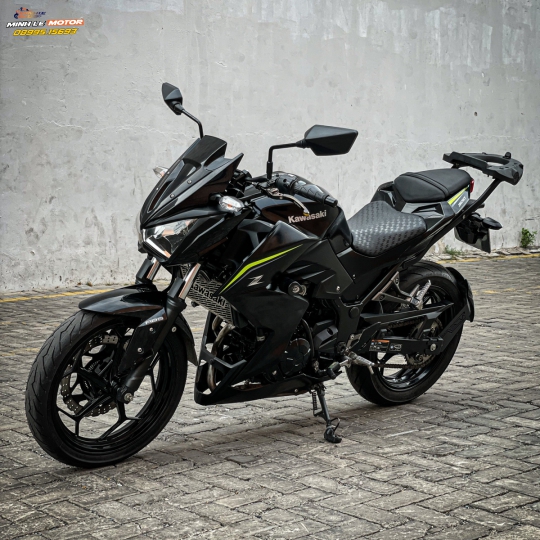 Z300 abs 2018 