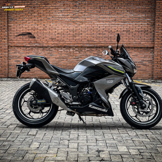 Z300 2017
