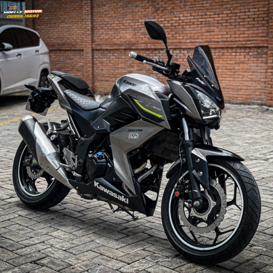 Z300 2017