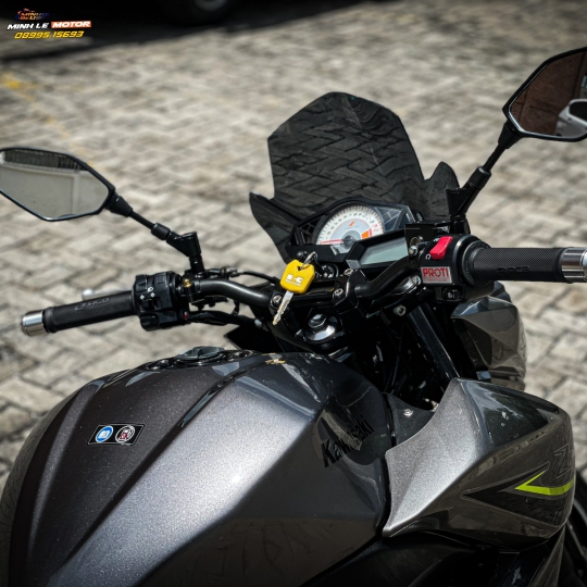 Z300 2017