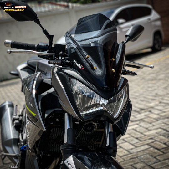 Z300 2017