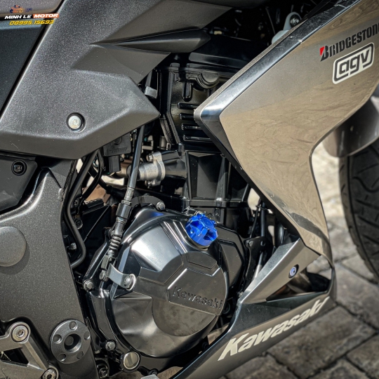 Z300 2017
