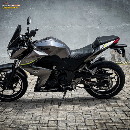 Z300 2017