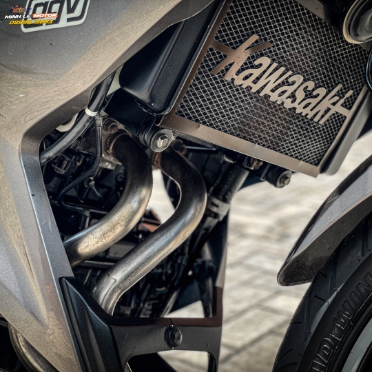 Z300 2017