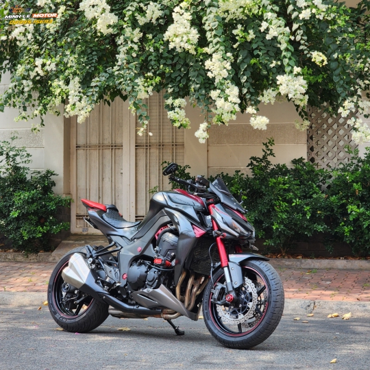 Z1000 2016 Candy