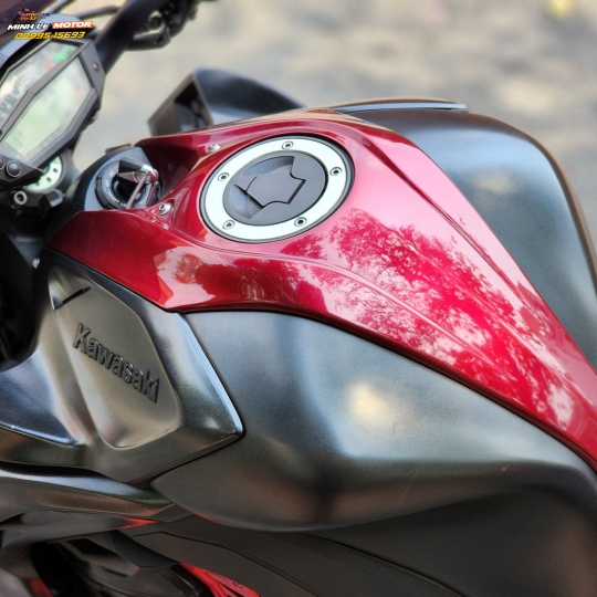 Z1000 2016 Candy
