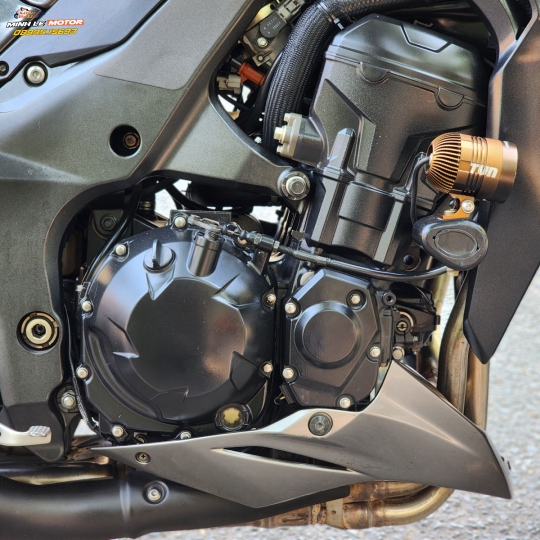 Z1000 Candy ABS 2016