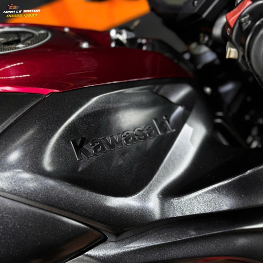 Kawasaki  Z1000 2016 