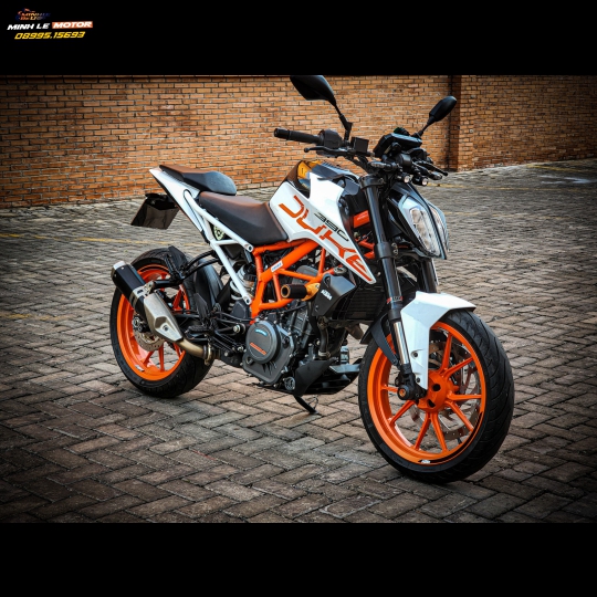 Duke 390 bssg