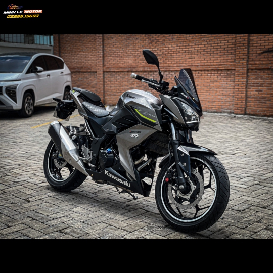 Z300 2017